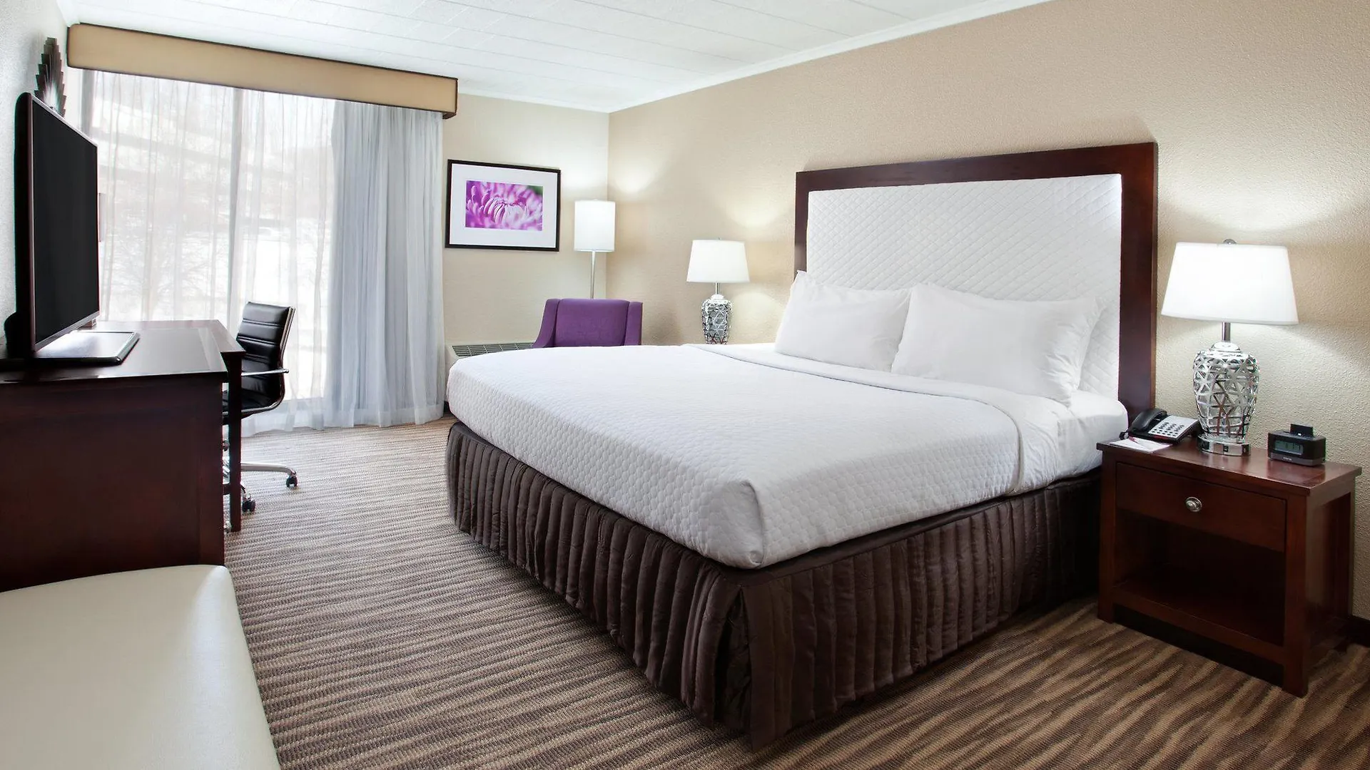 Pittsburgh Plaza Hotel contacts